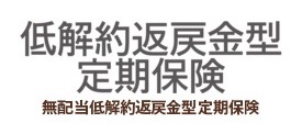 低解約返戻金型定期保険 無配当低解約返戻金型定期保険