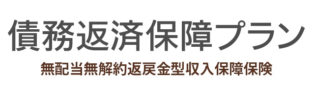 債務返済保障プラン 無配当無解約返戻金型収入保障保険