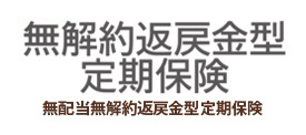 無解約返戻金型定期保険 無配当無解約返戻金型定期保険