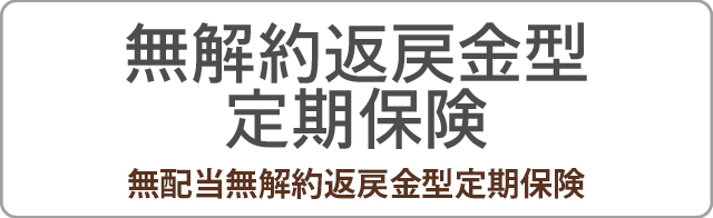 無解約返戻金型定期保険 無配当無解約返戻金型定期保険