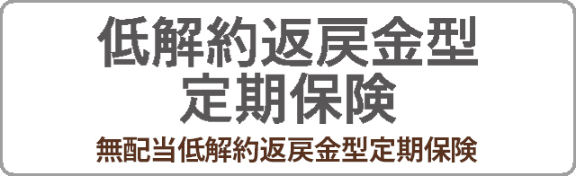 低解約返戻金型定期保険 無配当低解約返戻金型定期保険