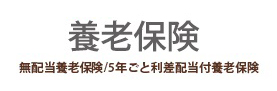 養老保険 無配当養老保険/5年ごと利差配当付養老保険