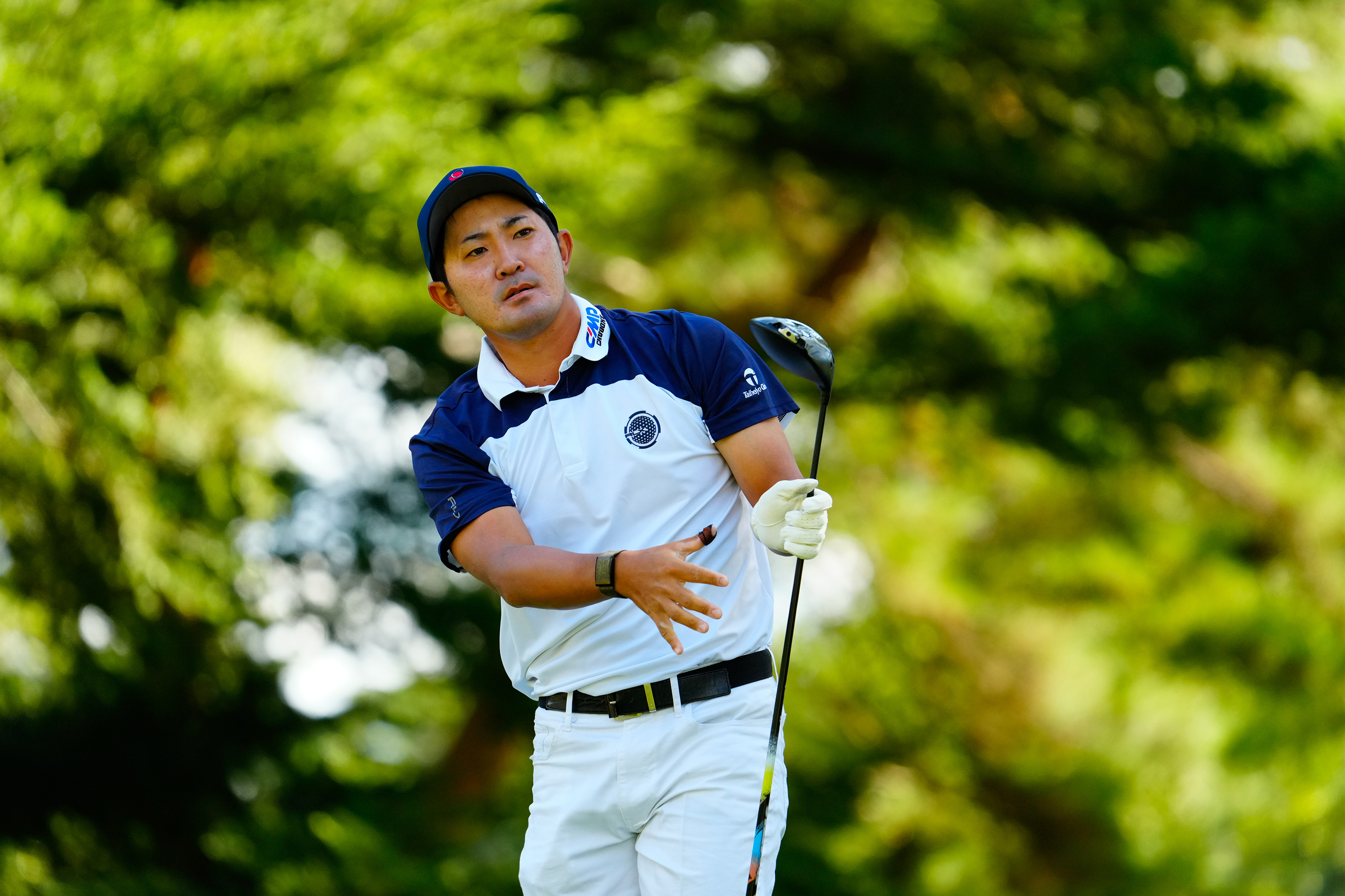 金谷プロの画像