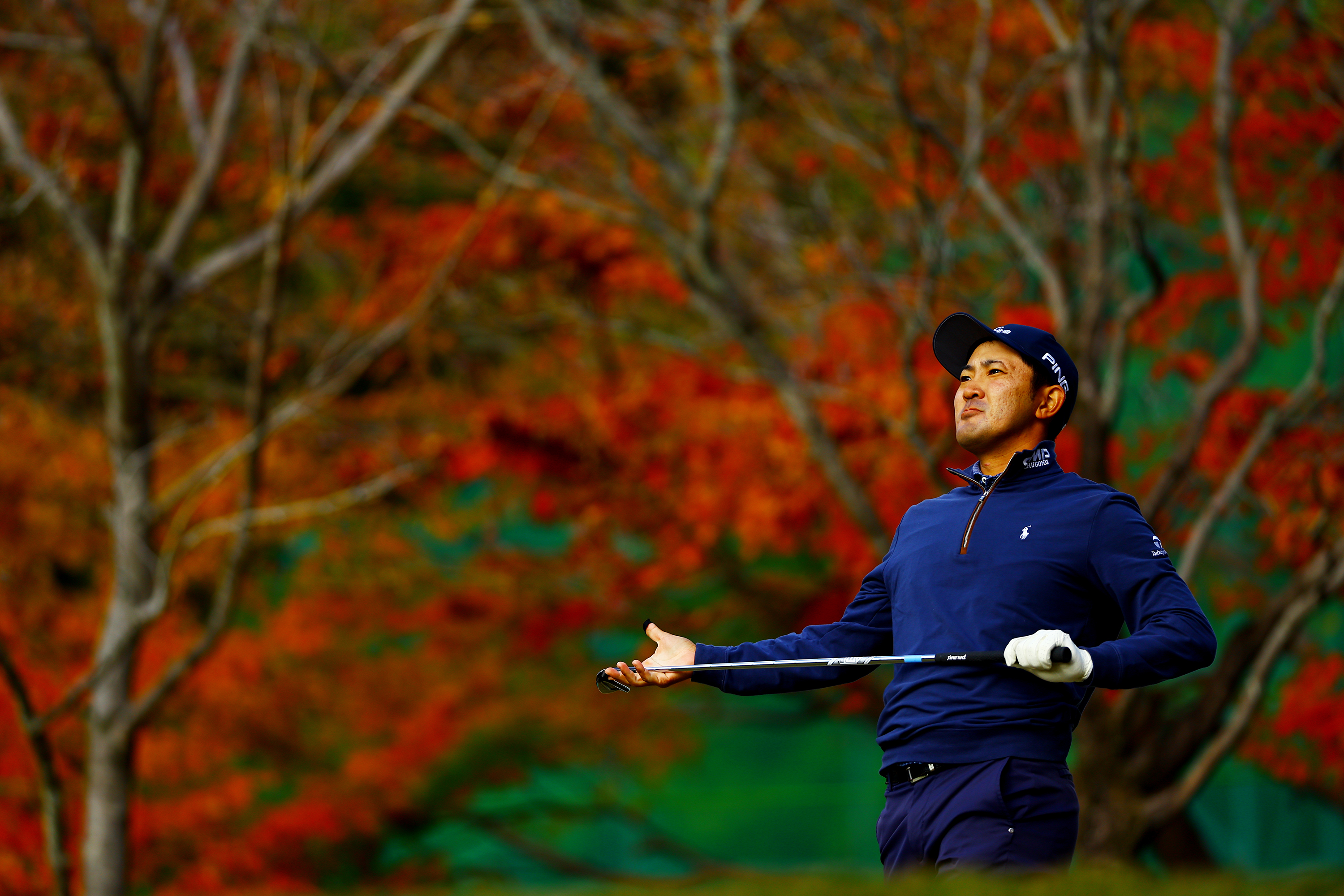 金谷プロの画像