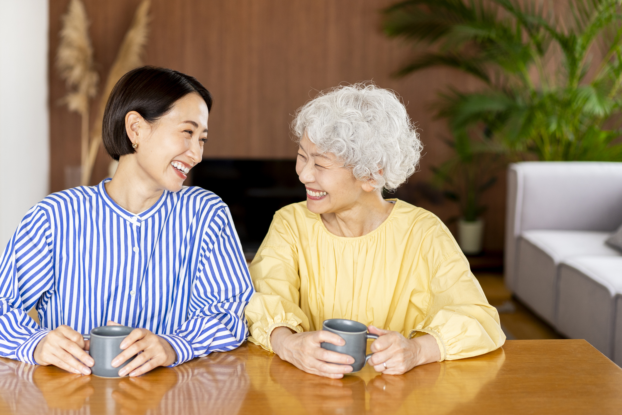 会話する女性と高齢女性