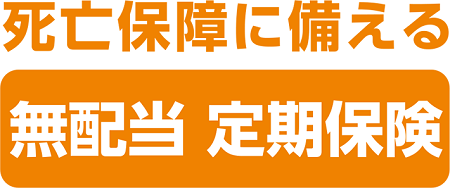 死亡保障に備える「無配当 定期保険」のロゴ