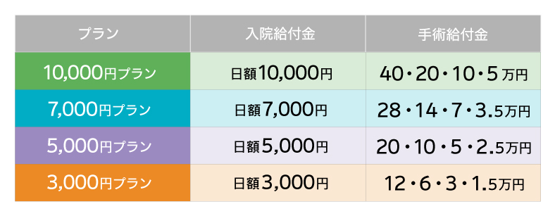 健康をサポートする医療保険 健康のお守り（通販）| 終身医療