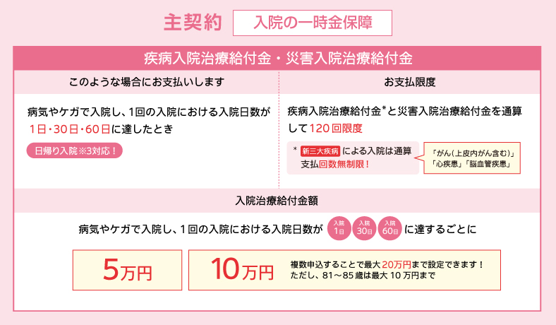 健康をサポートする医療保険 健康のお守り ハート ワイドの主契約について説明しています。お手頃プラン、安心プラン、三大疾病重点プランに共通する保障です。主契約は入院の一時金保障です。病気やケガで入院し一回の入院における入院日数が一日、三十日、六十日に達したとき疾病入院治療給付金または災害入院治療給付金をお支払いします。日帰り入院も対応します。疾病入院治療給付金と災害入院治療給付金を通算して百二十回限度で保障します。新三大疾病による入院は通算支払回数無制限に保障します。新三大疾病とは上皮内がんを含むがんまたは心疾患または脳血管疾患です。入金治療給付金額は病気やケガで入院し一回の入院における入院日数が一日、三十日、六十日に達するごとに五万円または十万円をお支払します。複数申込することで最大二十万円まで設定することが可能です。ただし八十一歳から八十五歳の方は最大十万円までの設定が可能です。