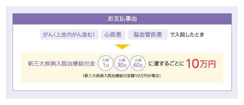 オプション一の限定告知医療用新三大疾病入院治療給付特約​のお支払事由について説明しています。新三大疾病入院治療給付金額十万円の場合の例です。上皮内がんを含むがんまたは心疾患または脳血管疾患で入院したとき新三大疾病入院治療給付金を入院日数が一日、三十日、六十日に達するごとに十万円お支払いします。