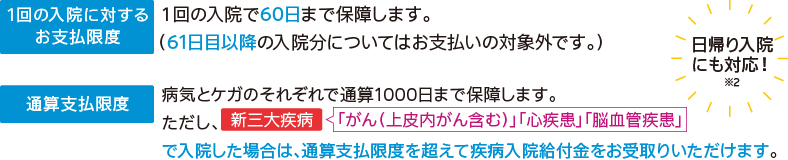 限定告知医療用入院給付特約のお支払事由について説明しています。この特約は安心プランと三大疾病重点プランに付けることができます。一回の入院に対するお支払い限度は六十日です。六十一日目以降の入院分についてはお支払いの対象外です。通算支払い限度は、病気とケガそれぞれで千日まで保障します。ただし、上皮内がんを含むがん、心疾患、脳血管疾患の新三大疾病で入院した場合は、通算支払い限度を超えて疾病入院給付金をお受け取りいただけます。日帰り入院にも対応しています。
