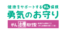 健康をサポートするがん保険勇気のお守り