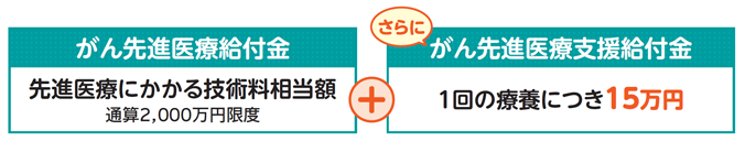 がん先進医療給付金は、先進医療にかかる技術料相当額を通算2,000万円限度で保障します。さらに、がん先進医療支援給付金を、1回の療養につき15万円を保障します。