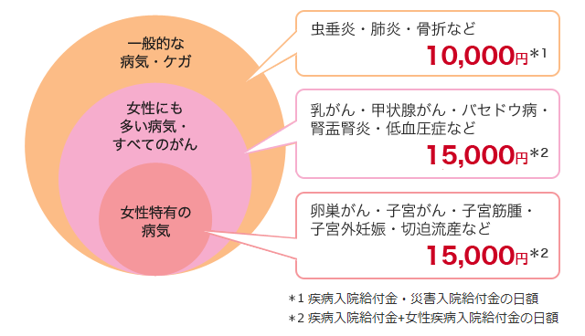 フェミニーヌの保障内容