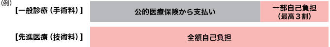 例：一般療養（手術料）、先進医療（技術料）
