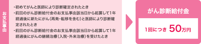 お支払事由と一時金