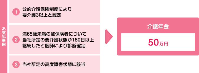 介護年金