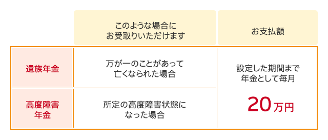 家族のお守り お支払額例