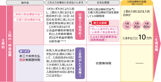 限定告知型医療保険 健康をサポートする医療保険 健康のお守り ハート ワイド - 保障内容 | 【公式】ＳＯＭＰＯひまわり生命保険