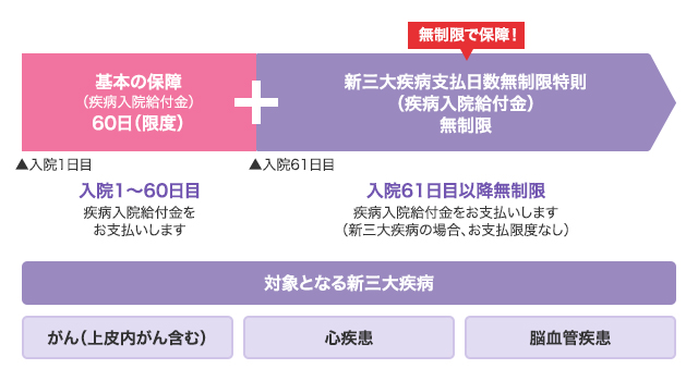 基本の保障(疾病入院給付金)60日限度。新三大疾病支払日数無制限特則(疾病入院給付金)無制限。対象となる新三大疾病はがん(上皮内がん含む)・心疾患・脳血管疾患。