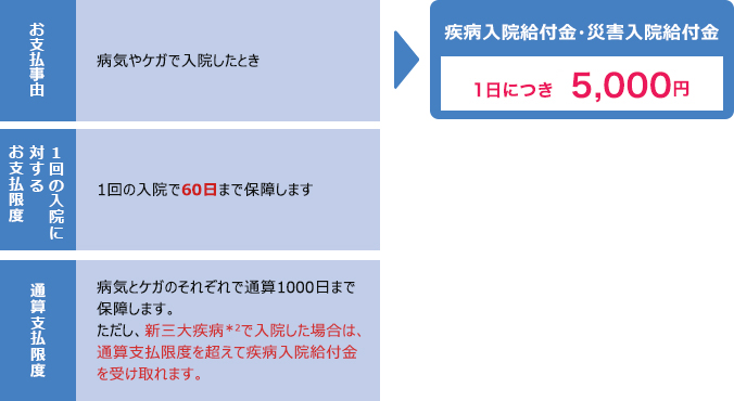 お支払事由は、病気やケガで入院したとき。1回の入院に対するお支払限度は1回の入院で60日まで保障します。通算支払限度は病気とケガのそれぞれで通算1000日まで保障します。ただし、新三大疾病で入院した場合は、通算支払限度を超えて疾病入院給付金を受け取れます。疾病入院給付金・災害入院給付金は1日につき5,000円。